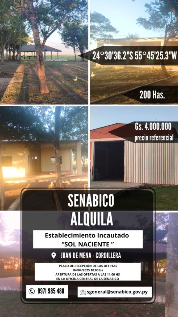 DISPONIBLE ALQUILER DE INMUEBLES INCAUTADOS EX RAMONITA