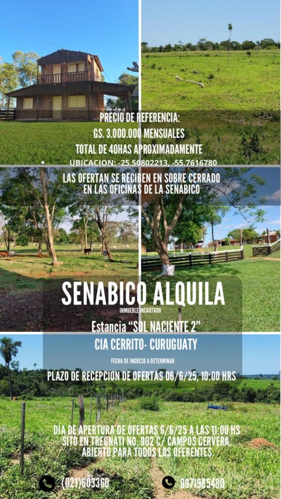 DISPONIBLE ALQUILER DE INMUEBLES INCAUTADOS