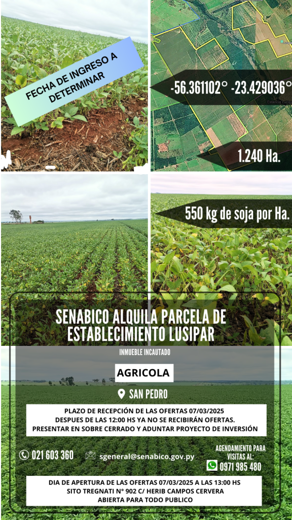 DISPONIBLE ALQUILER DE ESTABLECIMIENTOS INCAUTADOS